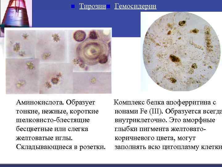 n Тирозин n Гемосидерин Аминокислота. Образует тонкие, нежные, короткие шелковисто-блестящие бесцветные или слегка желтоватые