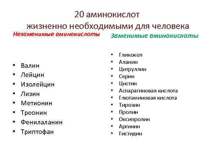 20 аминокислот жизненно необходимыми для человека Незаменимые аминокислоты • • Валин Лейцин Изолейцин Лизин
