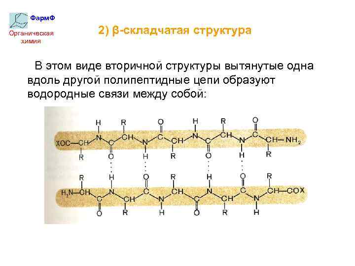 Фарм. Ф Органическая химия 2) β-складчатая структура В этом виде вторичной структуры вытянутые одна