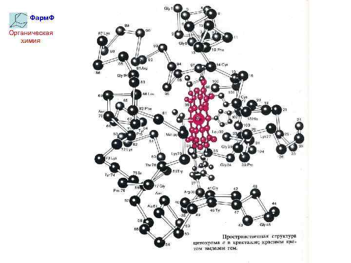 Фарм. Ф Органическая химия 
