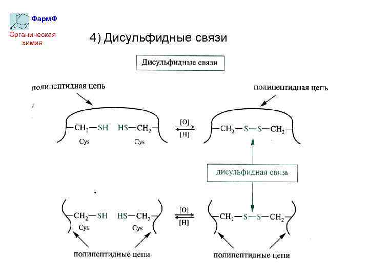 Фарм. Ф Органическая химия 4) Дисульфидные связи 