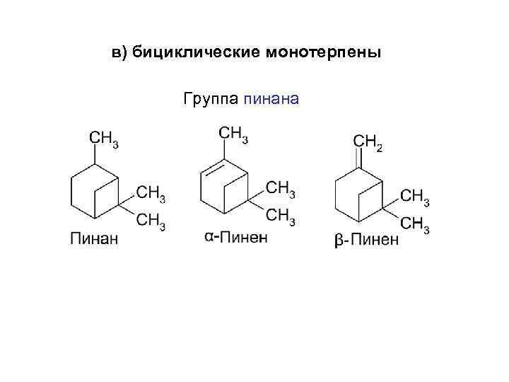 в) бициклические монотерпены Группа пинана 