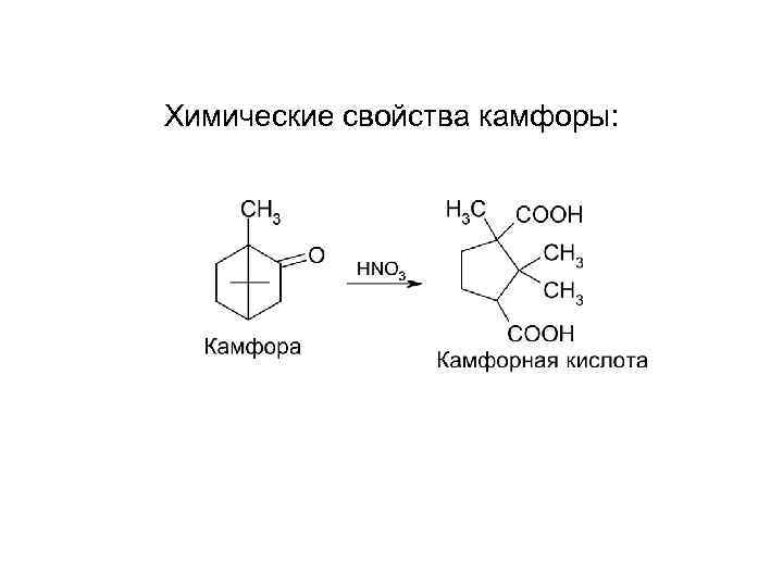 Химические свойства камфоры: 