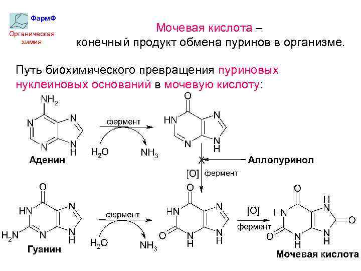 Схема пуринового обмена