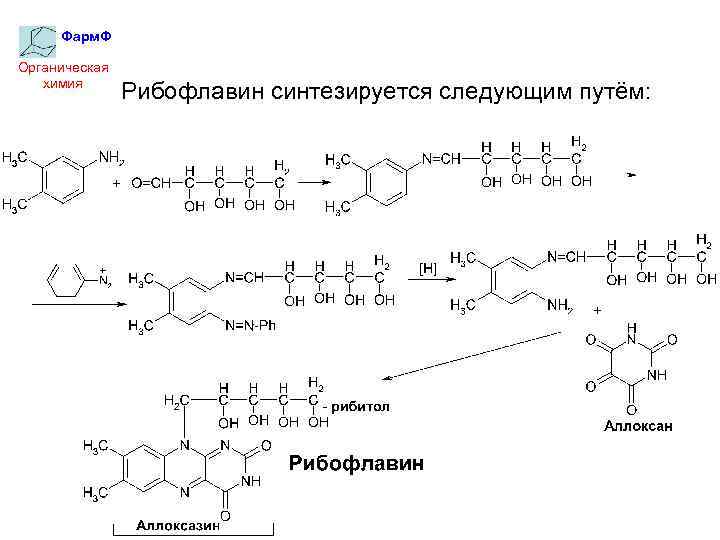 Технологическая схема производства рибофлавина