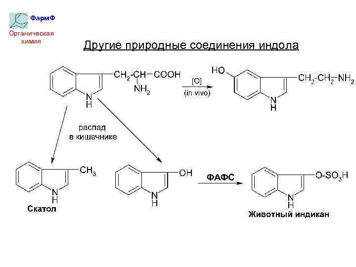 Фарм. Ф Органическая химия Другие природные соединения индола 