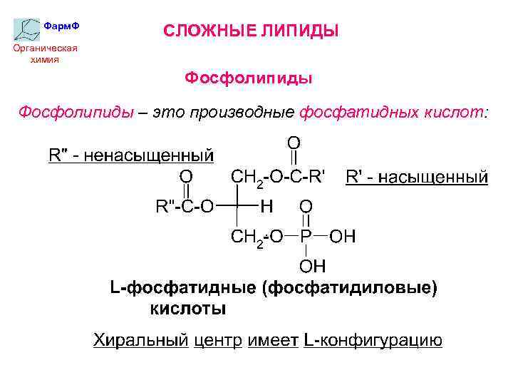 Фарм. Ф СЛОЖНЫЕ ЛИПИДЫ Органическая химия Фосфолипиды – это производные фосфатидных кислот: 