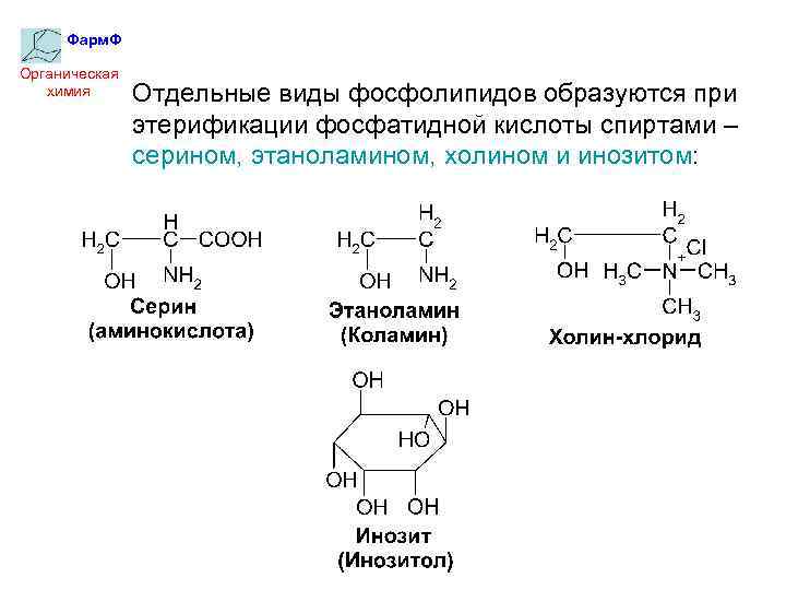 Фарм. Ф Органическая химия Отдельные виды фосфолипидов образуются при этерификации фосфатидной кислоты спиртами –