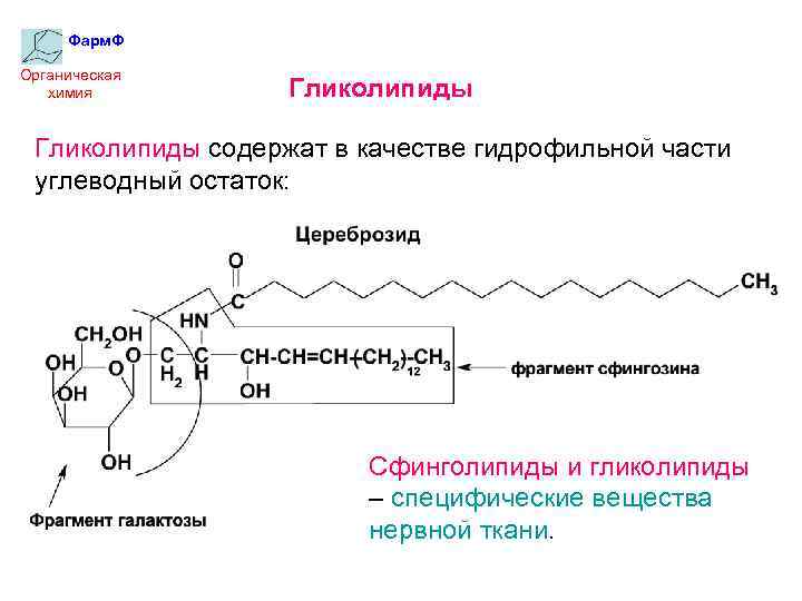 Фарм. Ф Органическая химия Гликолипиды содержат в качестве гидрофильной части углеводный остаток: Сфинголипиды и