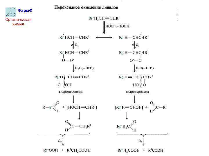 Фарм. Ф Органическая химия 