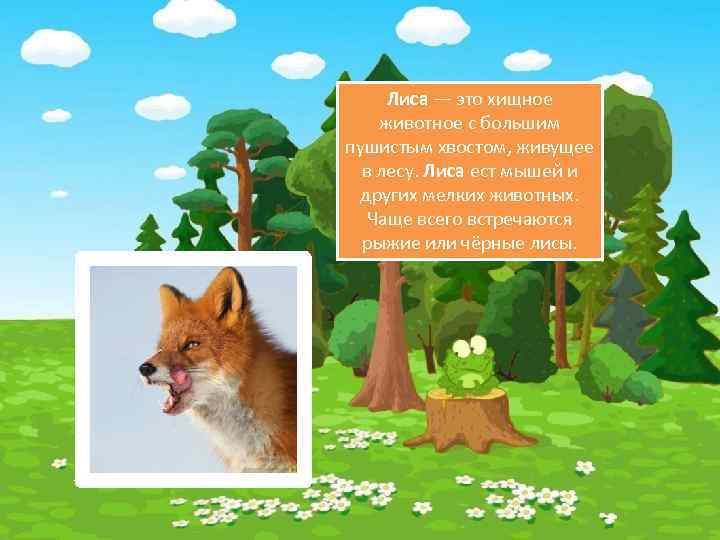 Лиса — это хищное животное с большим пушистым хвостом, живущее в лесу. Лиса ест
