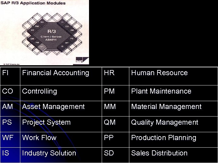 FI Financial Accounting HR Human Resource CO Controlling PM Plant Maintenance AM Asset Management