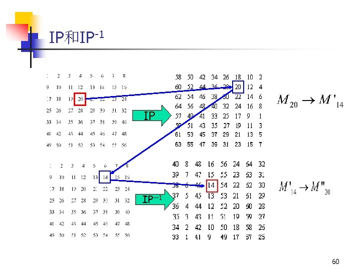IP和IP-1 IP IP— 1 60 