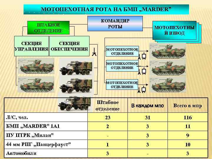 МОТОПЕХОТНАЯ РОТА НА БМП „MARDER” ШТАБНОЕ ОТДЕЛЕНИЕ СЕКЦИЯ УПРАВЛЕНИЯ ОБЕСПЕЧЕНИЯ КОМАНДИР РОТЫ МОТОПЕХОТНЫ Й