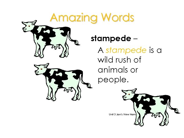Amazing Words stampede – A stampede is a wild rush of animals or people.