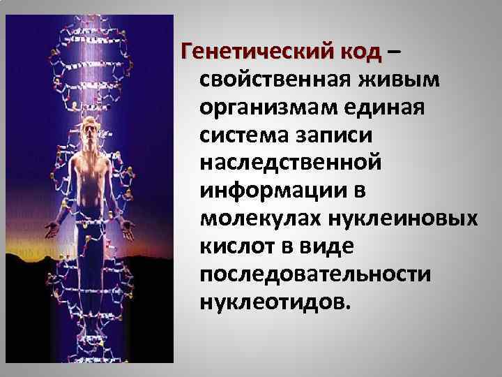 Генетический код – свойственная живым организмам единая система записи наследственной информации в молекулах нуклеиновых