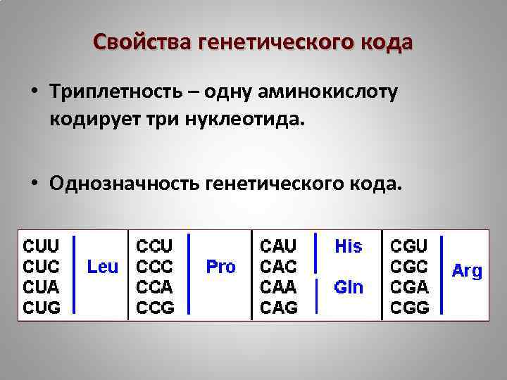 Свойства генетического кода • Триплетность – одну аминокислоту кодирует три нуклеотида. • Однозначность генетического