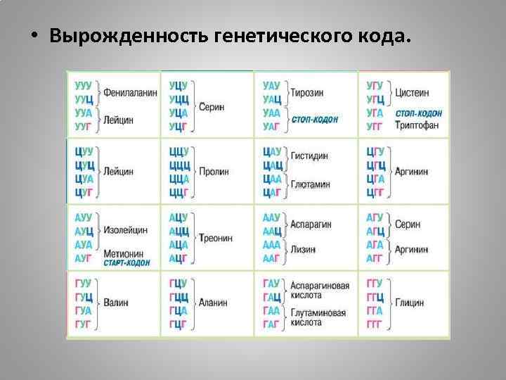  • Вырожденность генетического кода. 