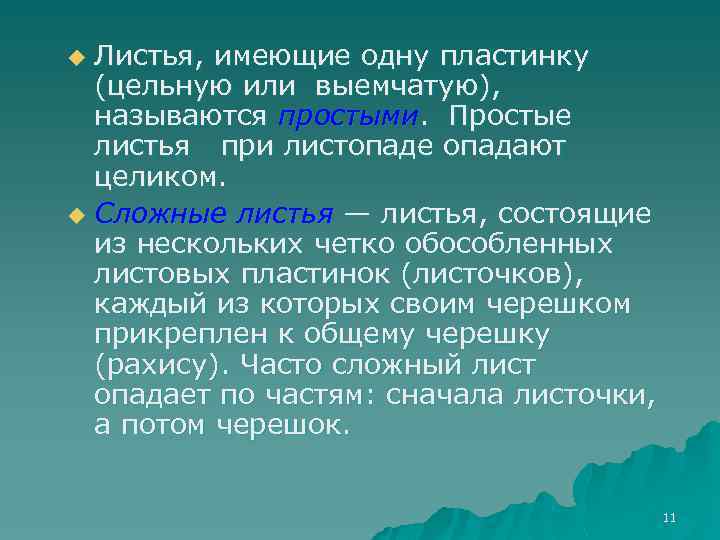 Листья, имеющие одну пластинку (цельную или выемчатую), называются простыми. Простые листья при листопаде опадают