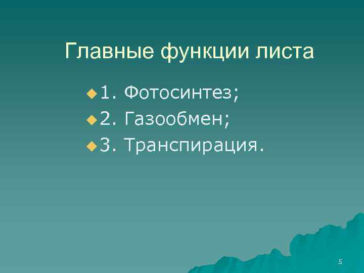 Главные функции листа u 1. u 2. u 3. Фотосинтез; Газообмен; Транспирация. 5 