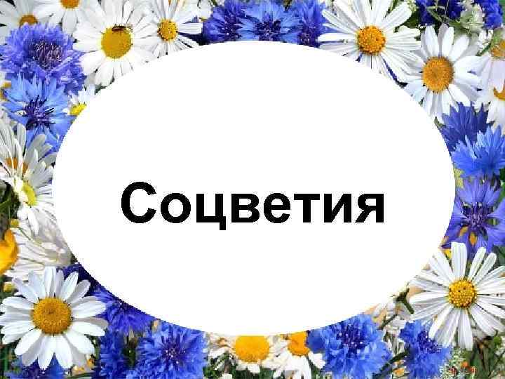 Соцветия 