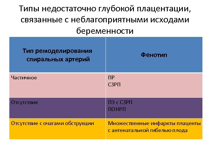 Типы беременности