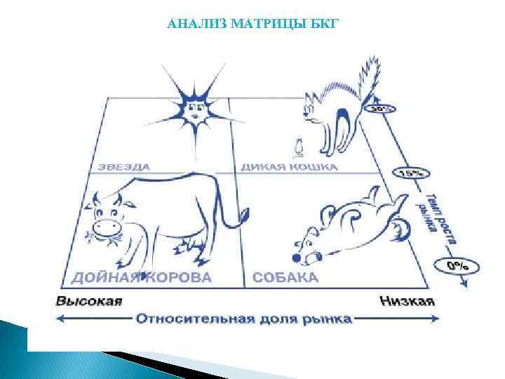 АНАЛИЗ МАТРИЦЫ БКГ 