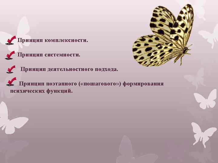 Принцип комплексности. Принцип системности. Принцип деятельностного подхода. Принцип поэтапного ( «пошагового» ) формирования психических