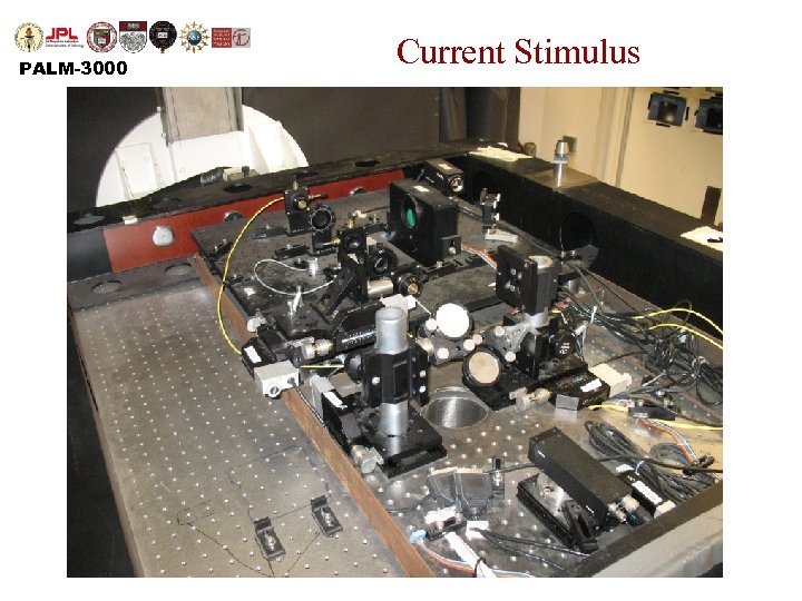 PALM-3000 Current Stimulus 