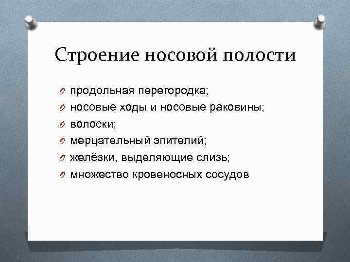 Строение носовой полости O продольная перегородка; O носовые ходы и носовые раковины; O волоски;