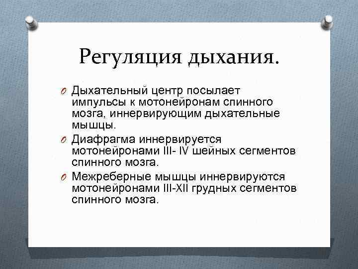 Регуляция дыхания. O Дыхательный центр посылает импульсы к мотонейронам спинного мозга, иннервирующим дыхательные мышцы.