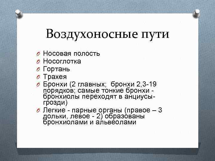 Воздухоносные пути Носовая полость Носоглотка Гортань Трахея Бронхи (2 главных; бронхи 2, 3 -19