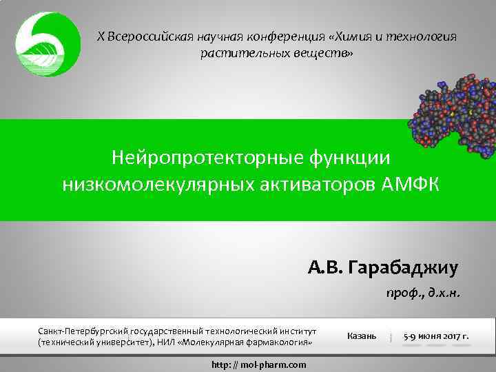 Конференция химическая технология. Химические конференции. «Химия и технология растительных веществ». Активация АМФК. V Всероссийская конференция "химия и химическая.