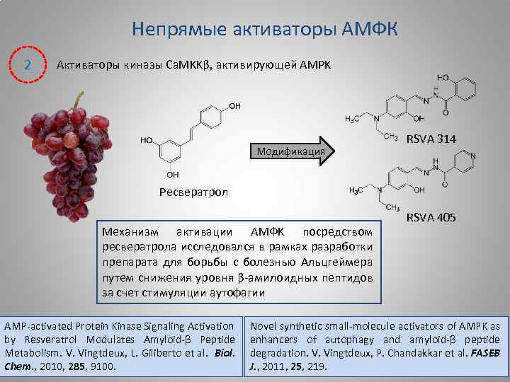 Непрямые активаторы АМФК 2 Активаторы киназы Ca. MKKβ, активирующей AMPK Модификация RSVA 314 Ресвератрол