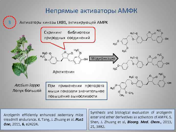 Непрямые активаторы АМФК 3 Активаторы киназы LKB 1, активирующей AMPK Скрининг библиотеки природных соединений