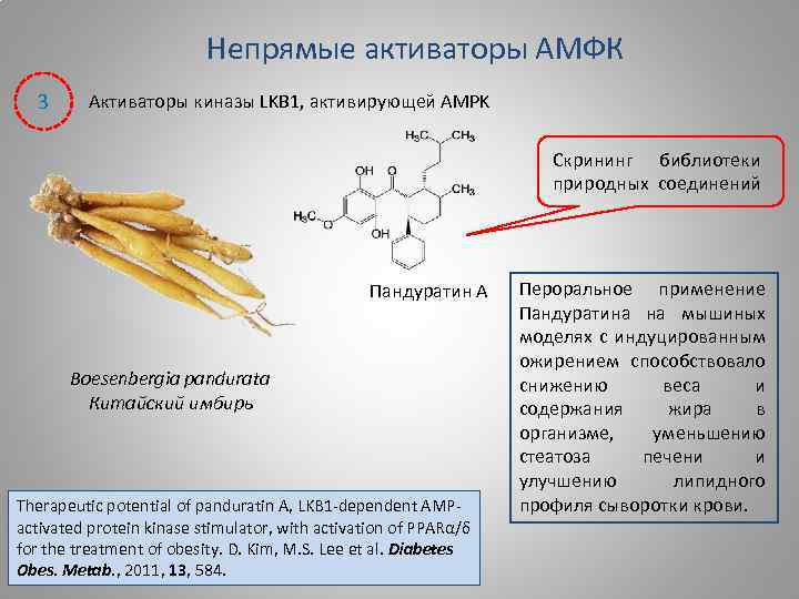 Непрямые активаторы АМФК 3 Активаторы киназы LKB 1, активирующей AMPK Скрининг библиотеки природных соединений