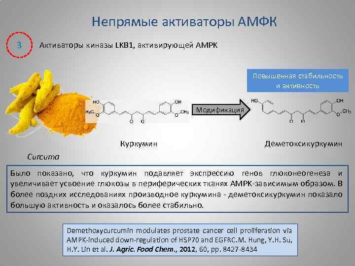 Непрямые активаторы АМФК 3 Активаторы киназы LKB 1, активирующей AMPK Повышенная стабильность и активность