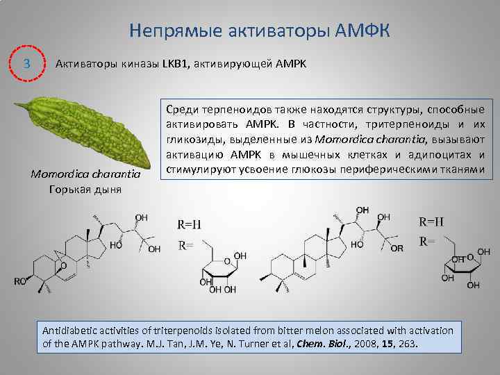 Непрямые активаторы АМФК 3 Активаторы киназы LKB 1, активирующей AMPK Momordica charantia Горькая дыня