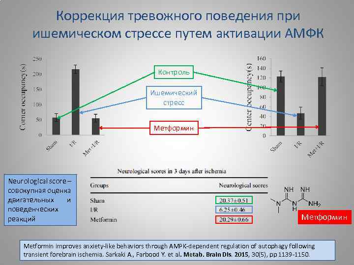 Коррекция тревожного поведения при ишемическом стрессе путем активации АМФК Контроль Ишемический стресс Метформин Neurological