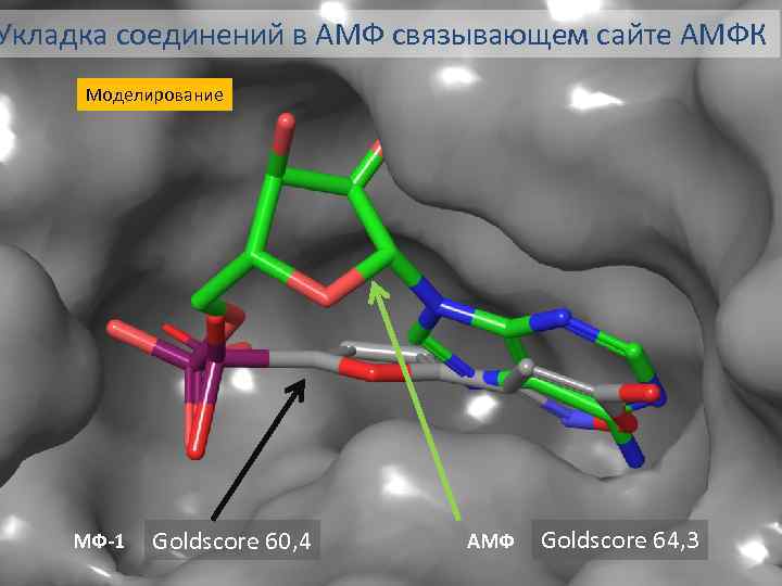 Укладка соединений в АМФ связывающем сайте АМФК Моделирование МФ-1 Goldscore 60, 4 АМФ Goldscore