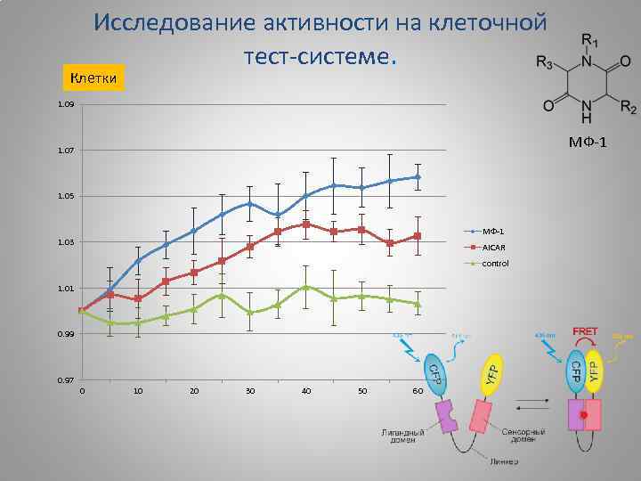 Исследование активности на клеточной тест-системе. Клетки 1. 09 МФ-1 1. 07 1. 05 МФ-1