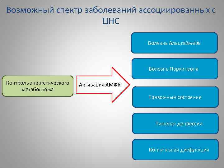 Возможный спектр заболеваний ассоциированных с ЦНС Болезнь Альцгеймера Болезнь Паркинсона Контроль энергетического метаболизма Активация