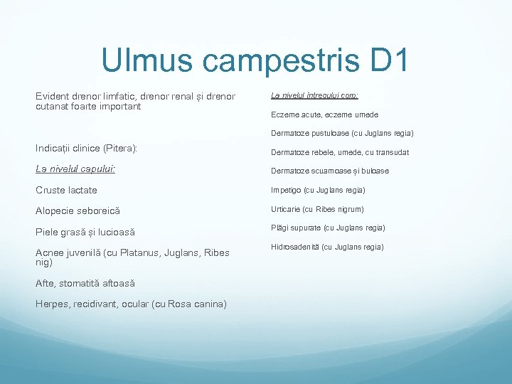 Ulmus campestris D 1 Evident drenor limfatic, drenor renal și drenor cutanat foarte important