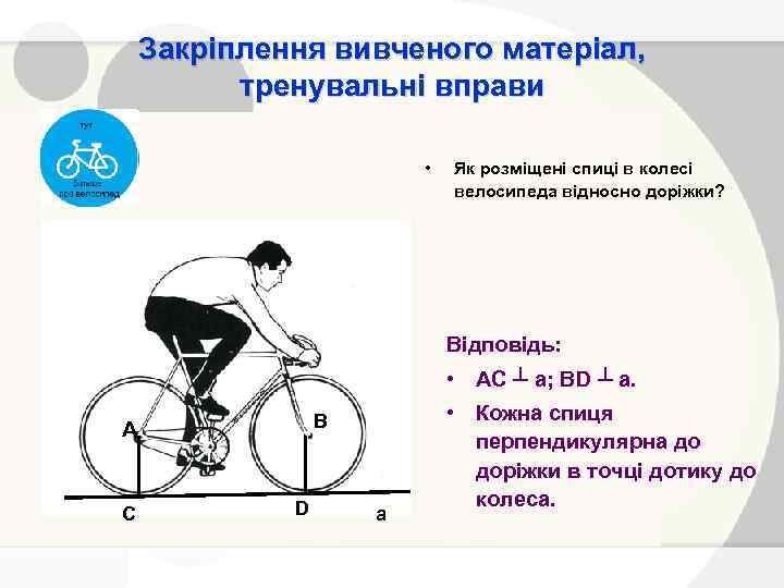 Закріплення вивченого матеріал, тренувальні вправи • Як розміщені спиці в колесі велосипеда відносно доріжки?