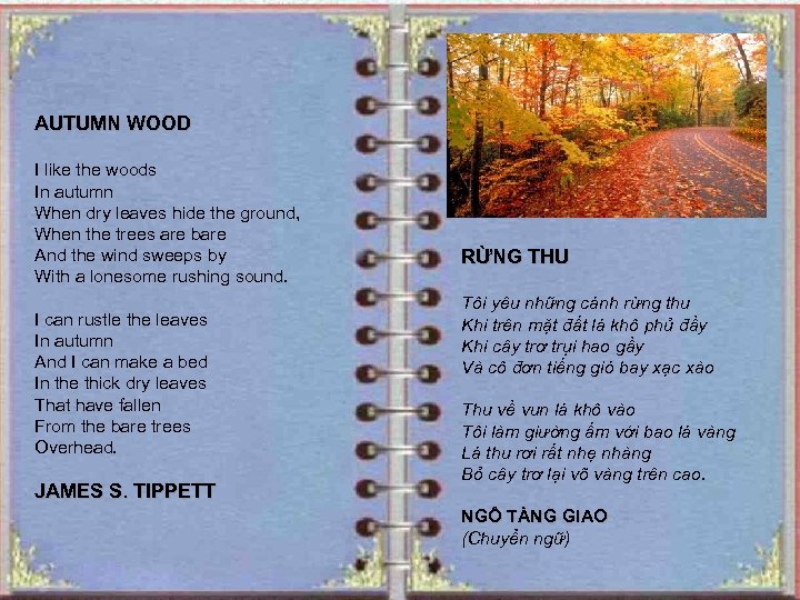 AUTUMN WOOD I like the woods In autumn When dry leaves hide the ground,