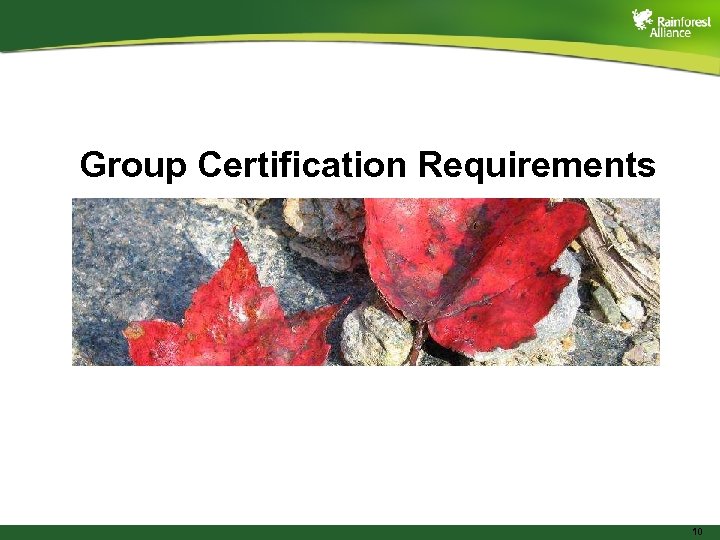 Group Certification Requirements 10 