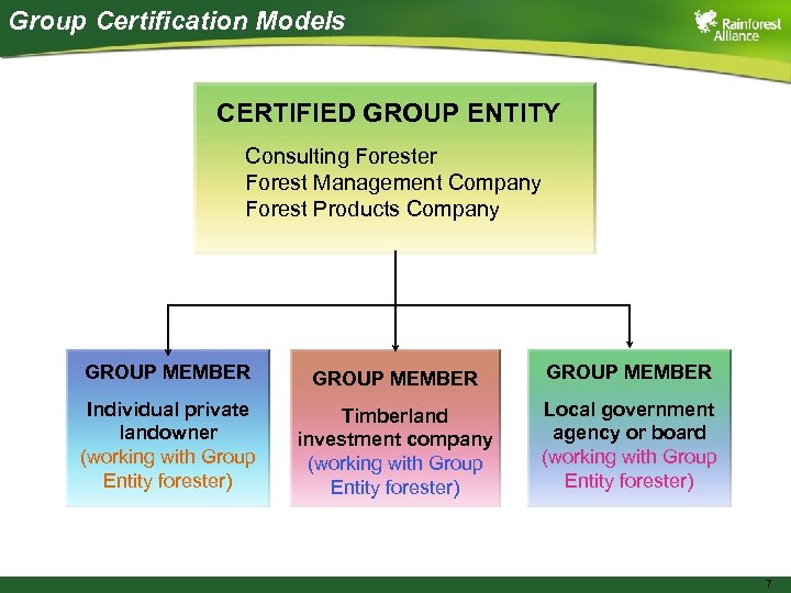 Group Certification Models CERTIFIED GROUP ENTITY Consulting Forester Forest Management Company Forest Products Company