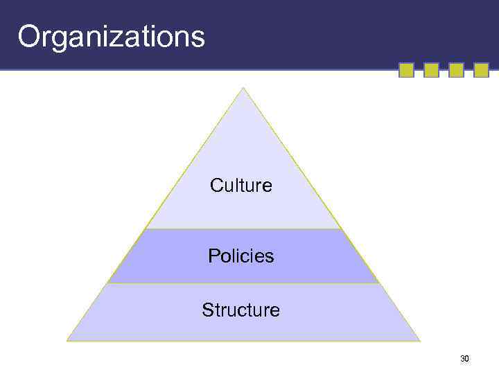 Organizations Culture Policies Structure 30 