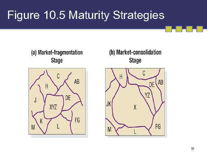 Figure 10. 5 Maturity Strategies 31 