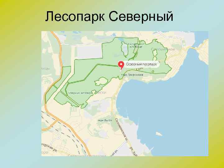 Лесопарк Северный 